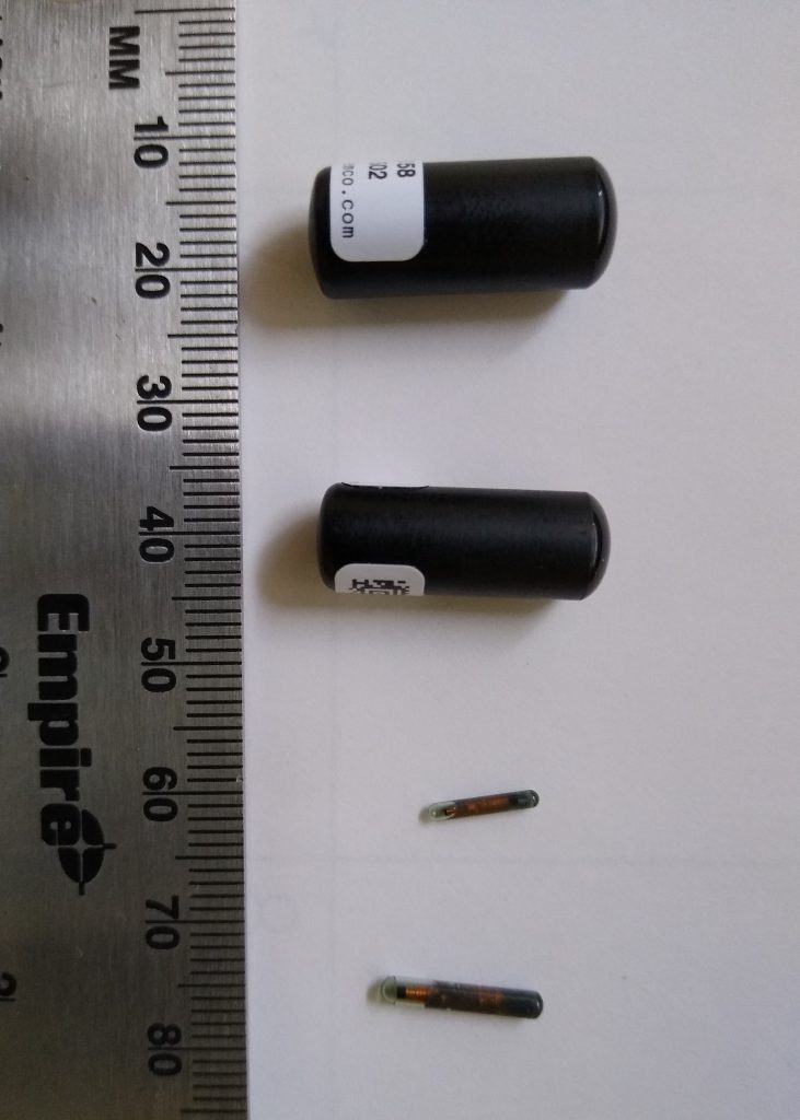 Several small telemetry tags are shown against a rule, demonstrating how small they are.